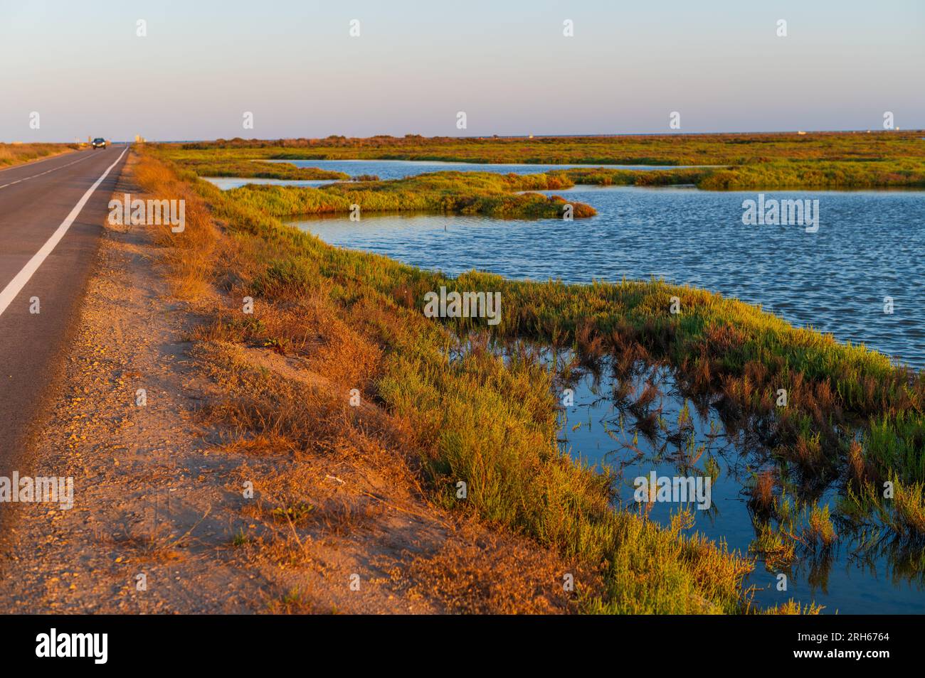 Delta dell'Ebro, regione del delta del fiume Ebro a sud-ovest della provincia di Tarragona, Catalogna, Spagna Foto Stock