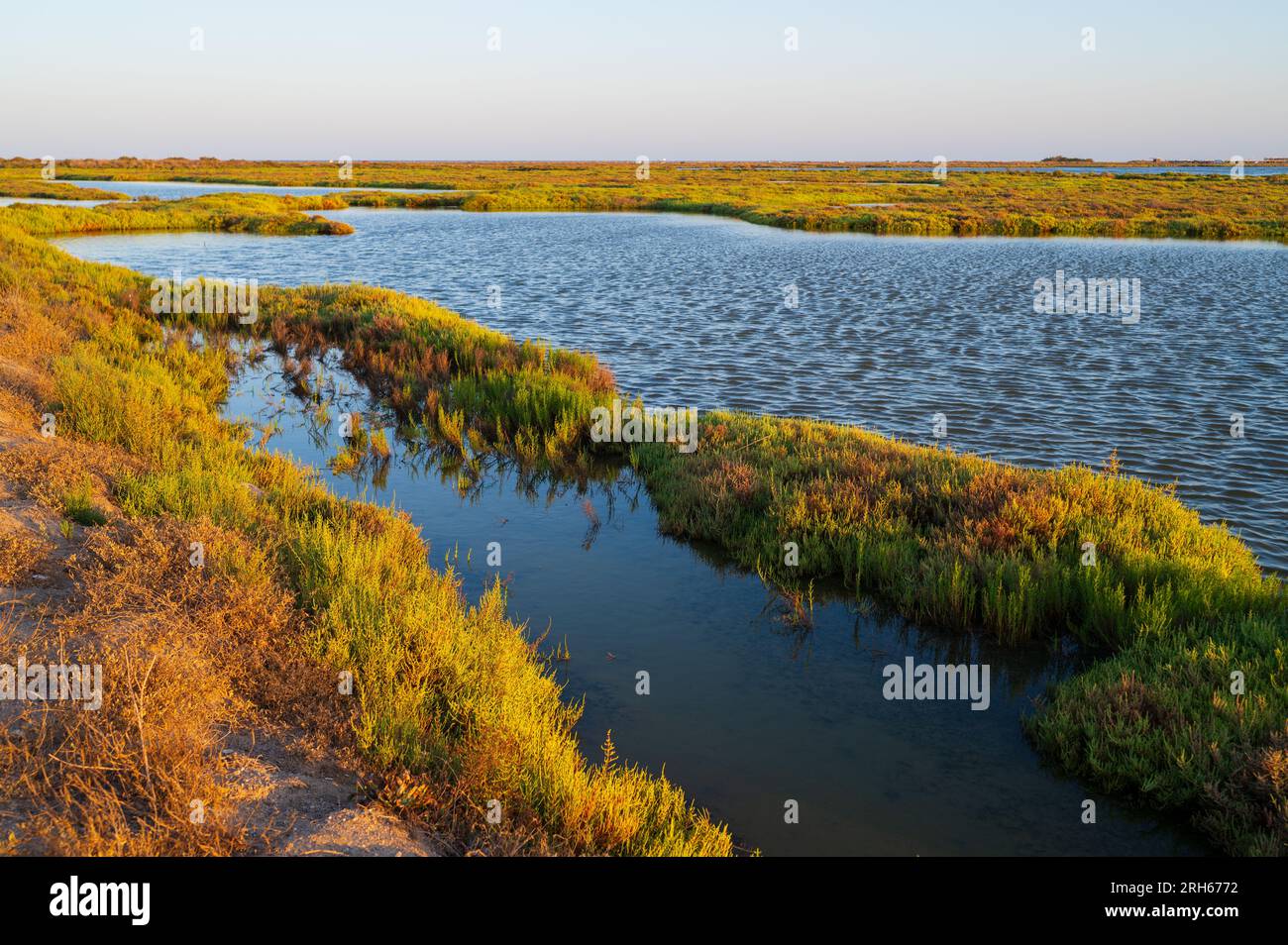 Delta dell'Ebro, regione del delta del fiume Ebro a sud-ovest della provincia di Tarragona, Catalogna, Spagna Foto Stock