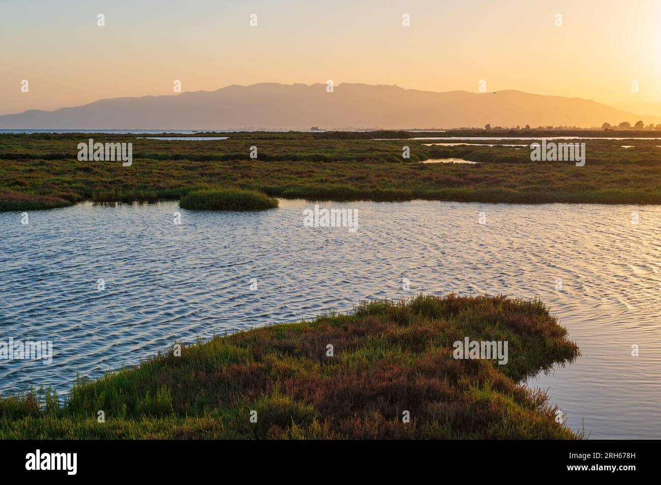 Delta dell'Ebro, regione del delta del fiume Ebro a sud-ovest della provincia di Tarragona, Catalogna, Spagna Foto Stock