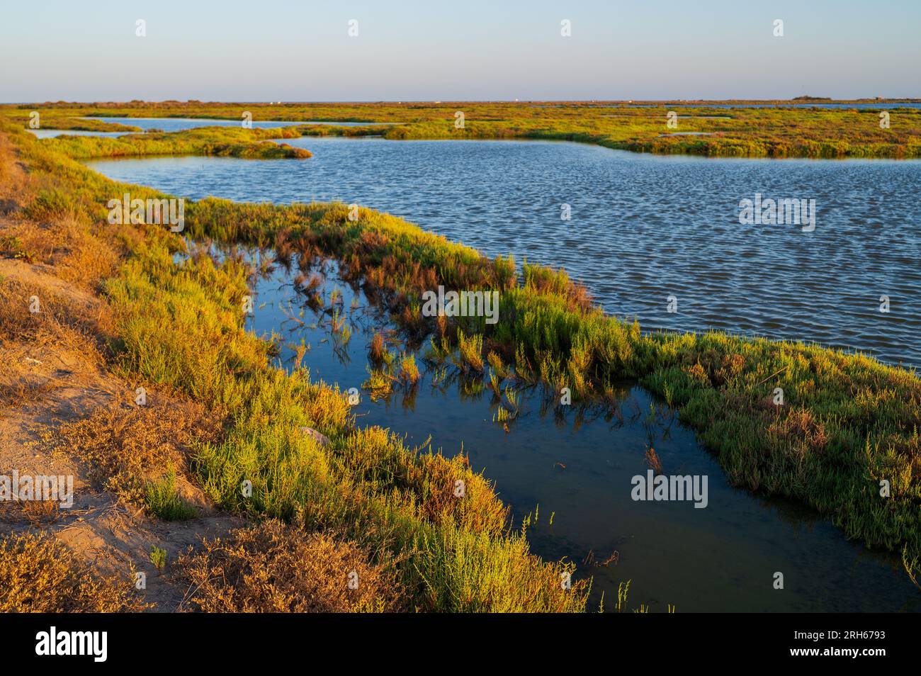 Delta dell'Ebro, regione del delta del fiume Ebro a sud-ovest della provincia di Tarragona, Catalogna, Spagna Foto Stock