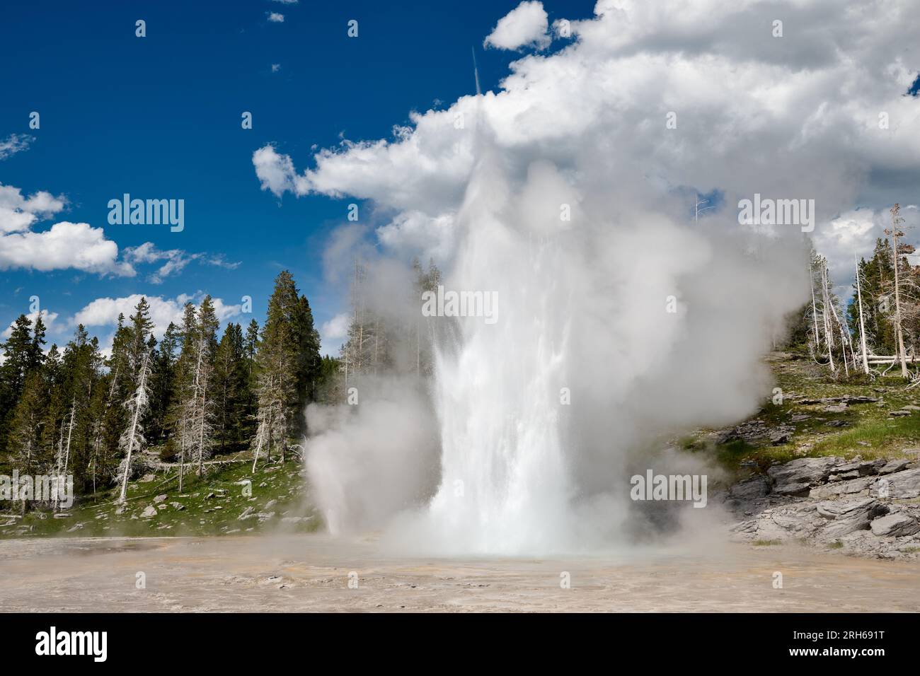 Erupting Grand Geyser, Upper Geyser Basin, Yellowstone National Park, Wyoming, Stati Uniti d'America Foto Stock