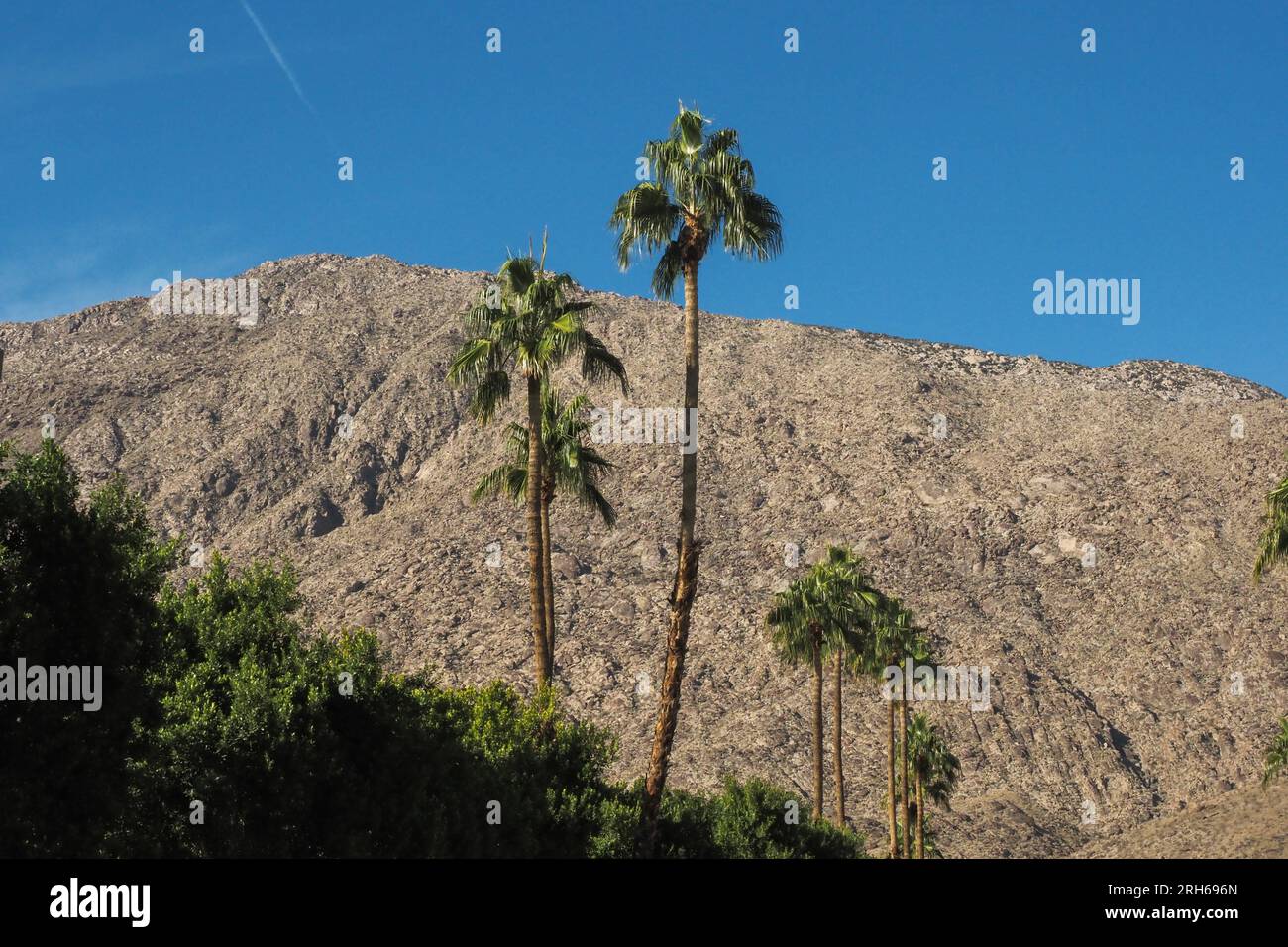 San Jacinto Mountain vicino a Palm Springs, USA, 23 novembre 2022. (Foto CTK/Pavel Vesely) Foto Stock