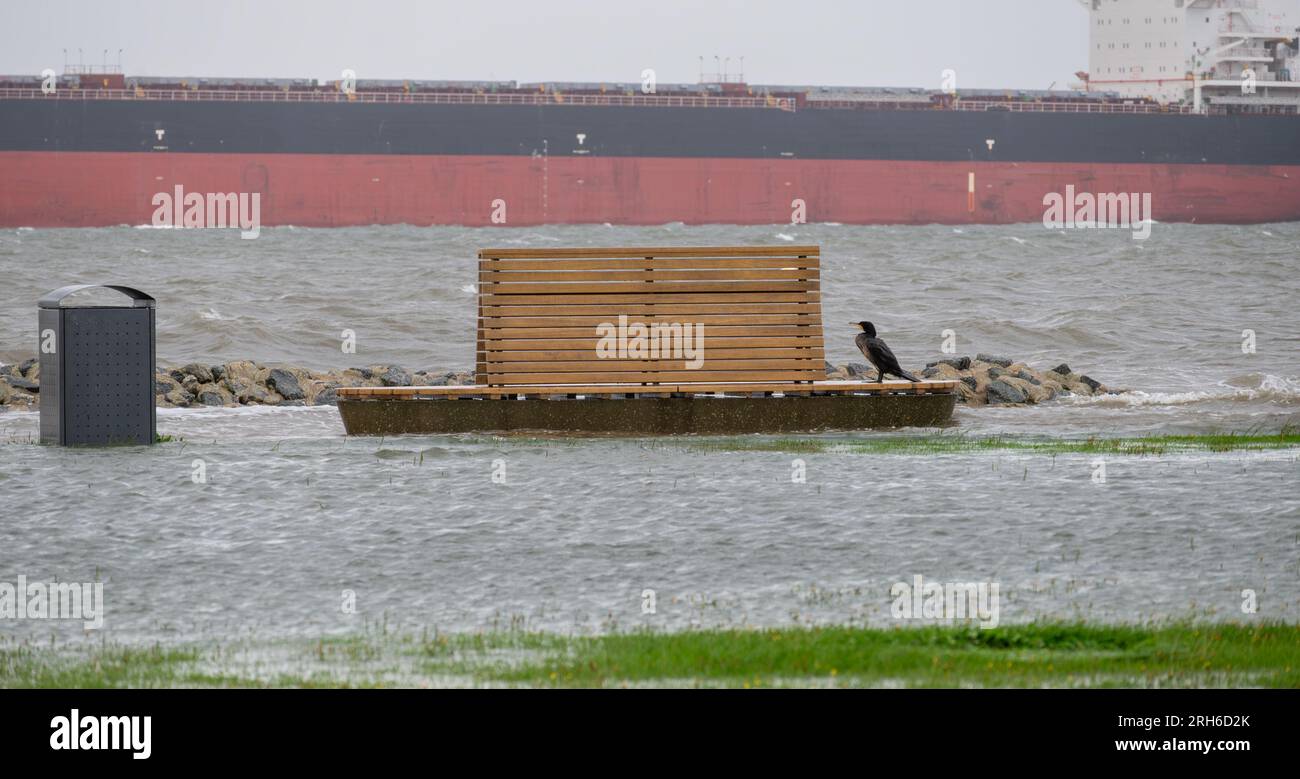 Costa allagata durante una tempesta estiva a Cuxhaven, in Germania. Cormorano seduto su una panchina vuota di fronte a una nave nel fiume Elba. Foto Stock