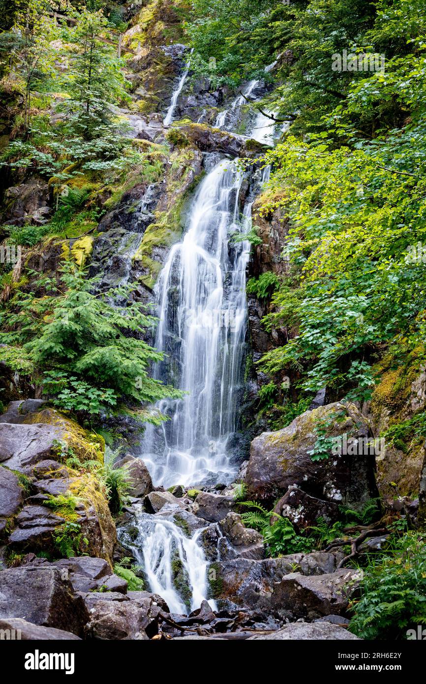 Splendida cascata nella zona dei Vosgi in Francia chiamata "de tendon" questa foto è della grande cascata chiamata "grande Cascade de Tendon" Foto Stock