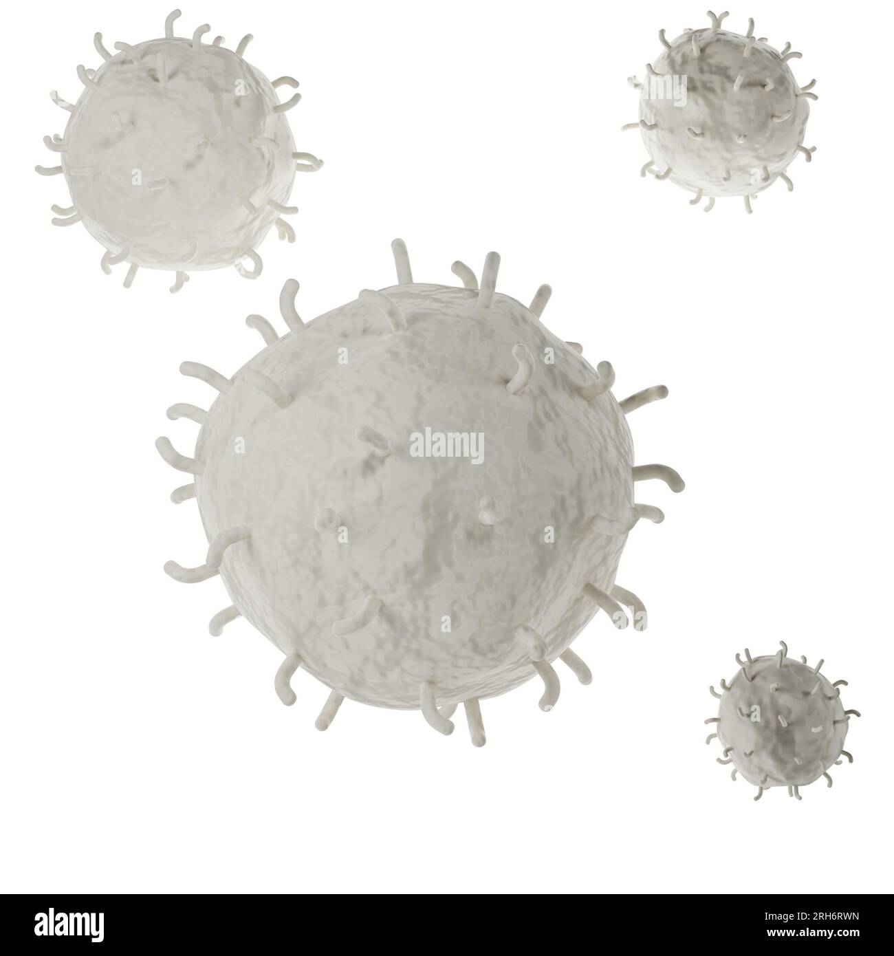 Analisi realistica delle icone dei globuli bianchi 3D. Illustrazione medica dei leucociti su sfondo bianco con percorso di ritaglio Foto Stock