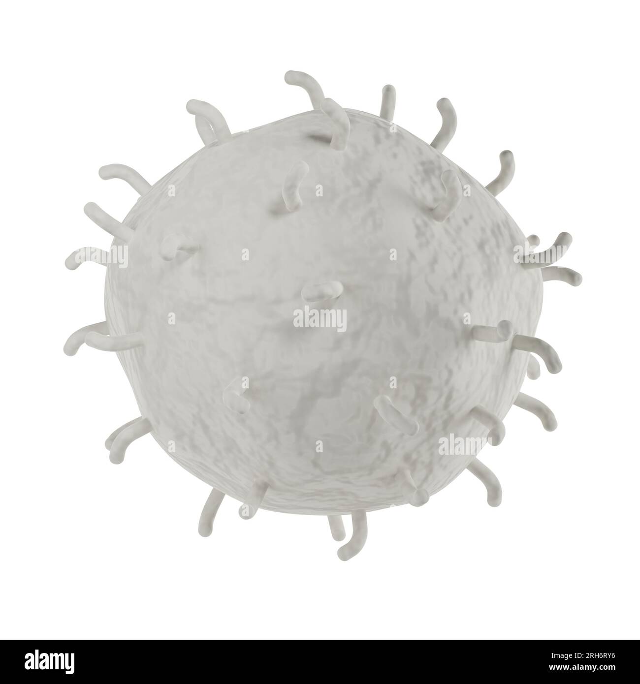 Analisi realistica delle icone dei globuli bianchi 3D. Illustrazione medica dei leucociti su sfondo bianco con percorso di ritaglio Foto Stock