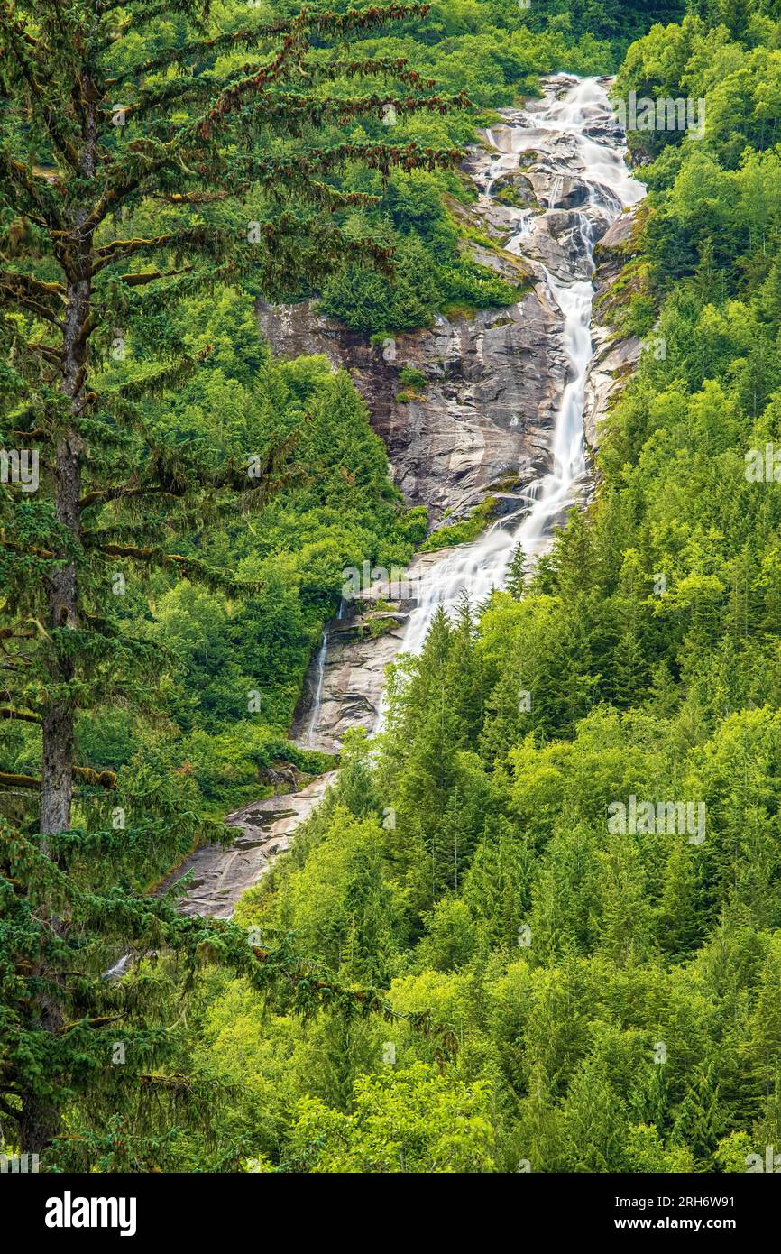 L'acqua si tuffa lungo una ripida montagna lungo l'autostrada 16 tra abeti ricoperti di muschio tra Terrace e Prince Rupert, British Columbia. Foto Stock