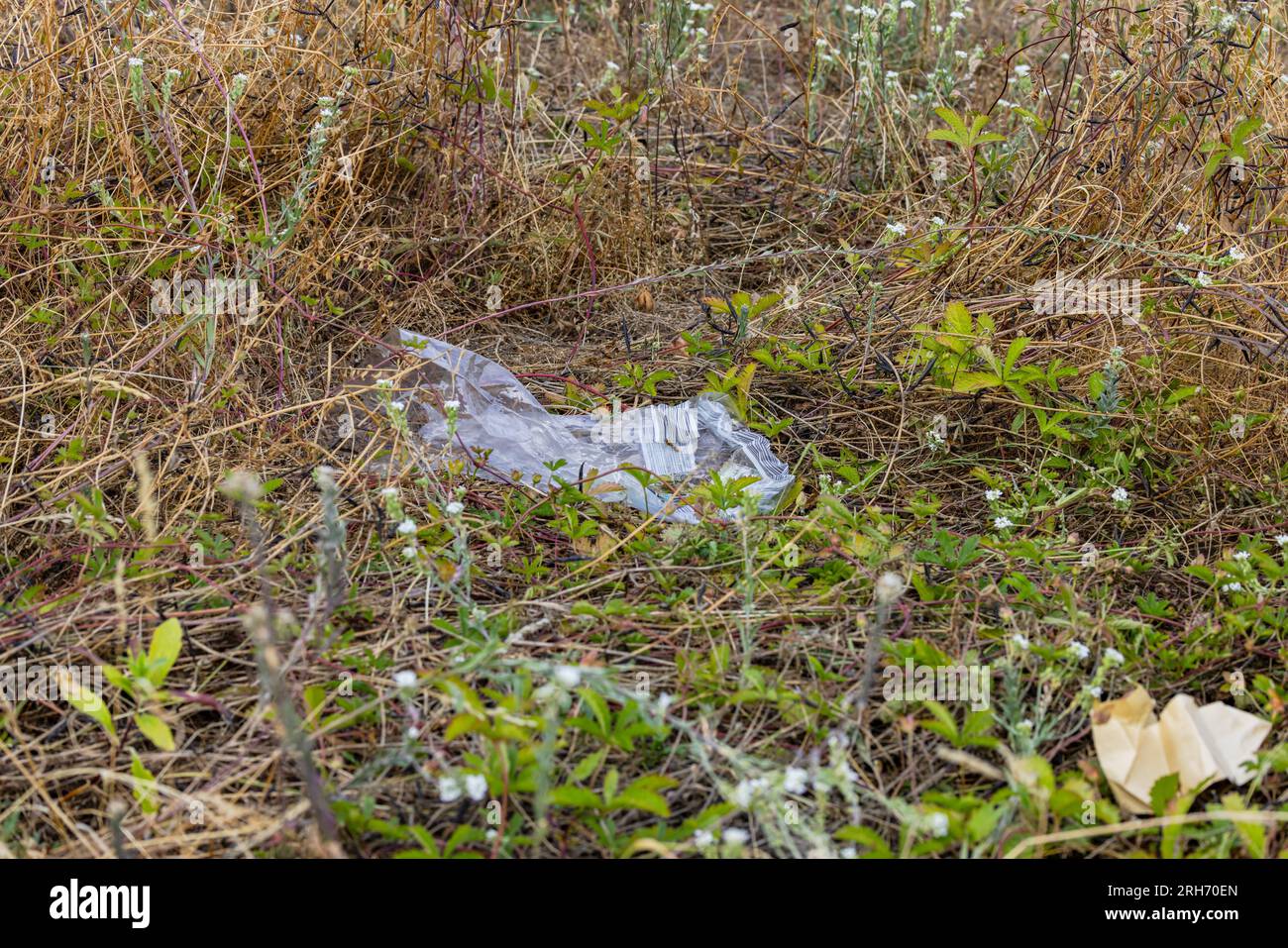 Inquinamento da un foglio di plastica trasparente in un campo con erba, Germania Foto Stock