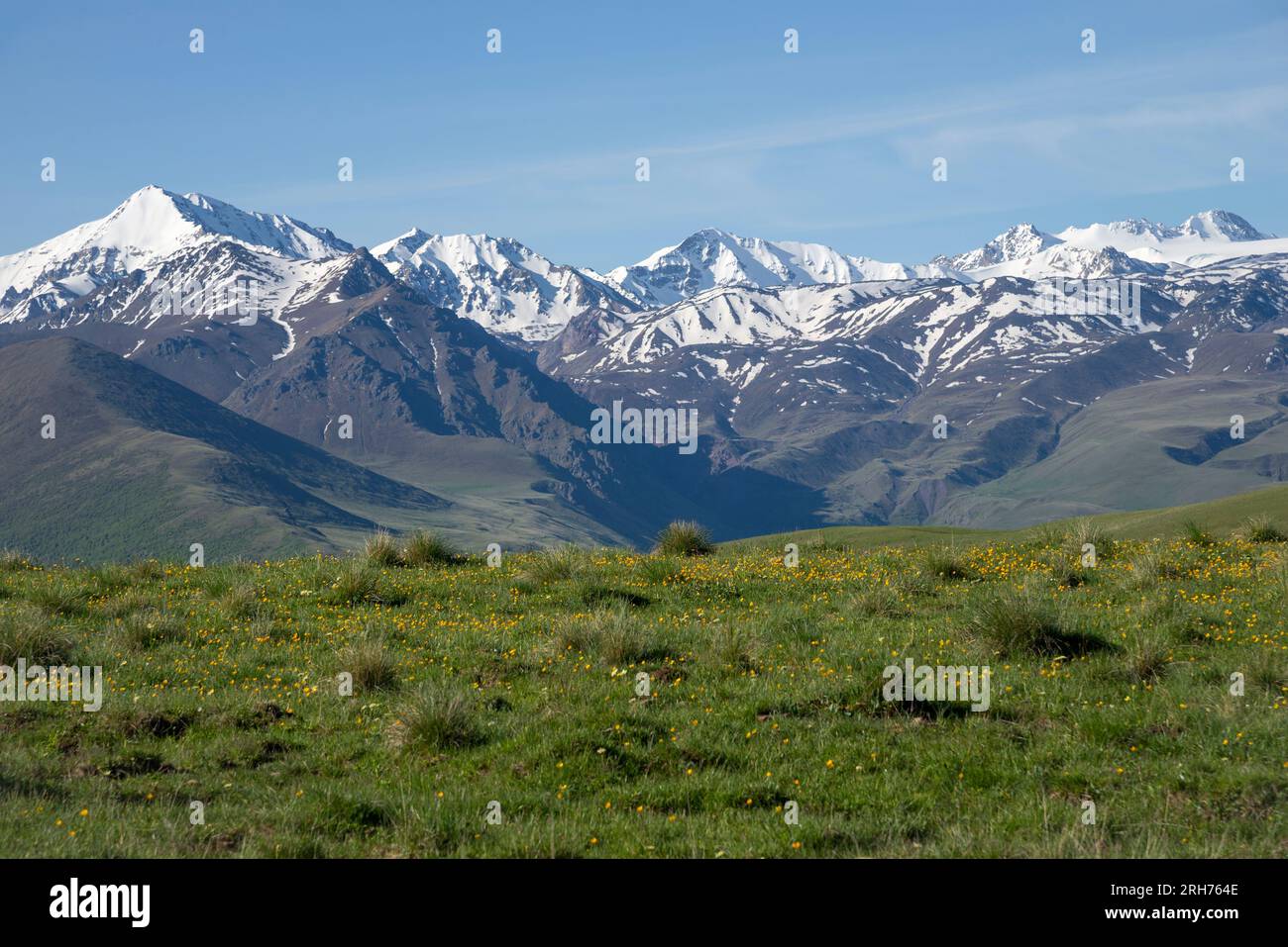 Prato alpino sullo sfondo di cime innevate. Kabardino-Balkaria Foto Stock