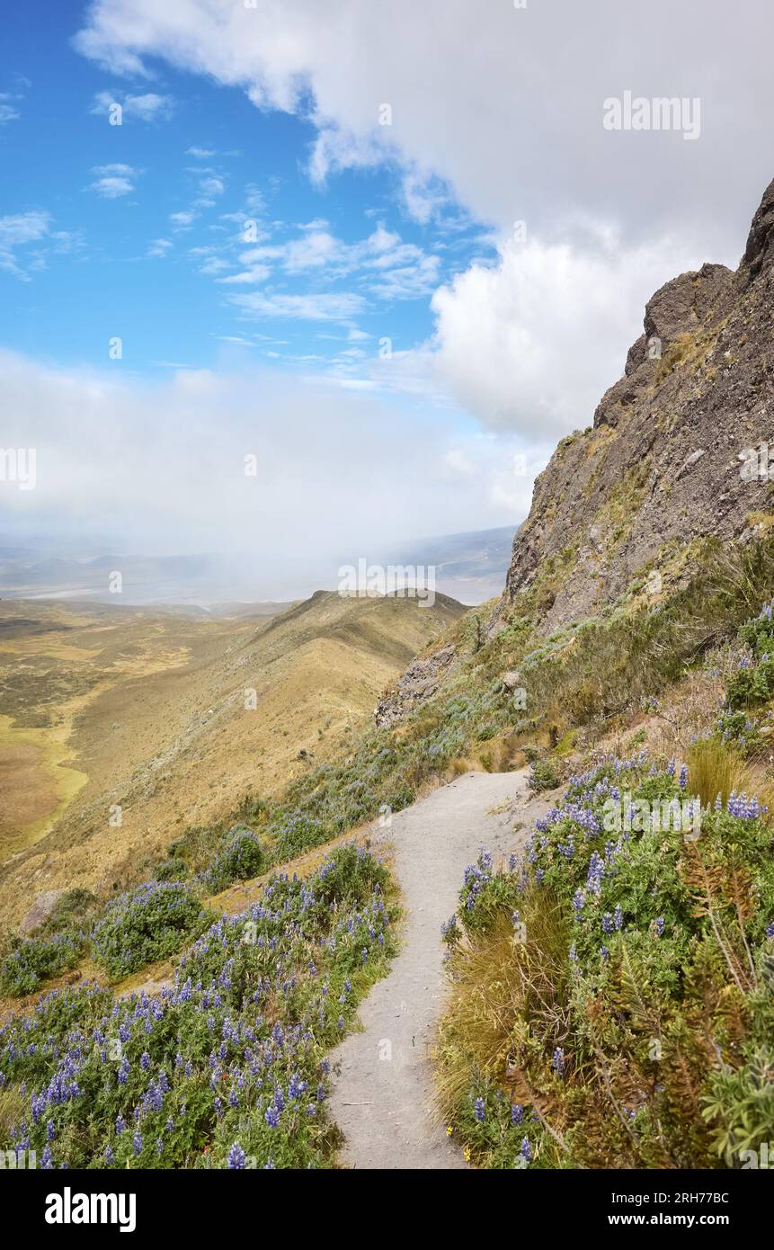 Sentiero per il vulcano Ruminahui, il Parco Nazionale Cotopaxi, Ecuador. Foto Stock
