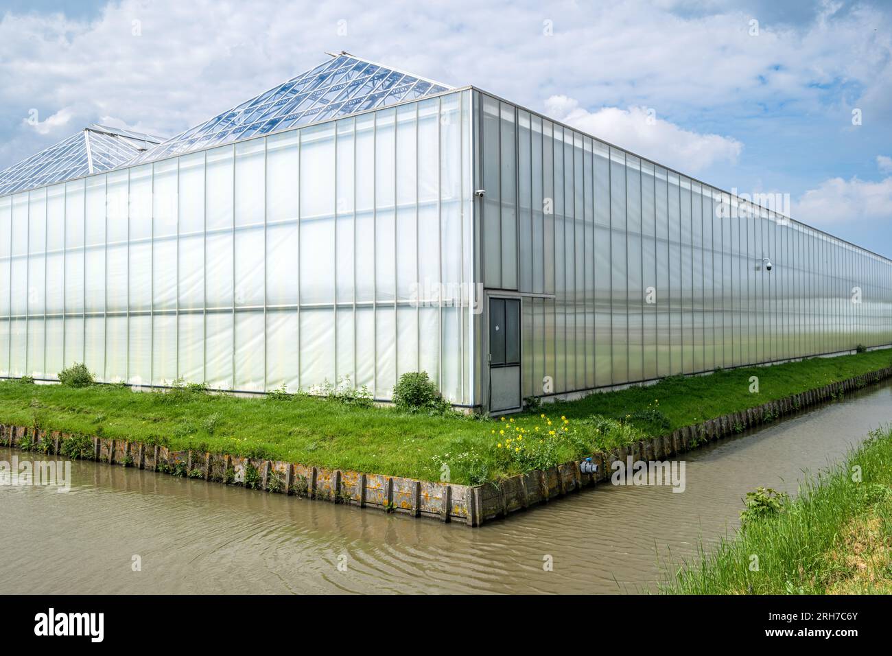 Vista prospettica di una moderna serra industriale nel Westland, nei Paesi Bassi. Westland è una regione dei Paesi Bassi. Foto Stock
