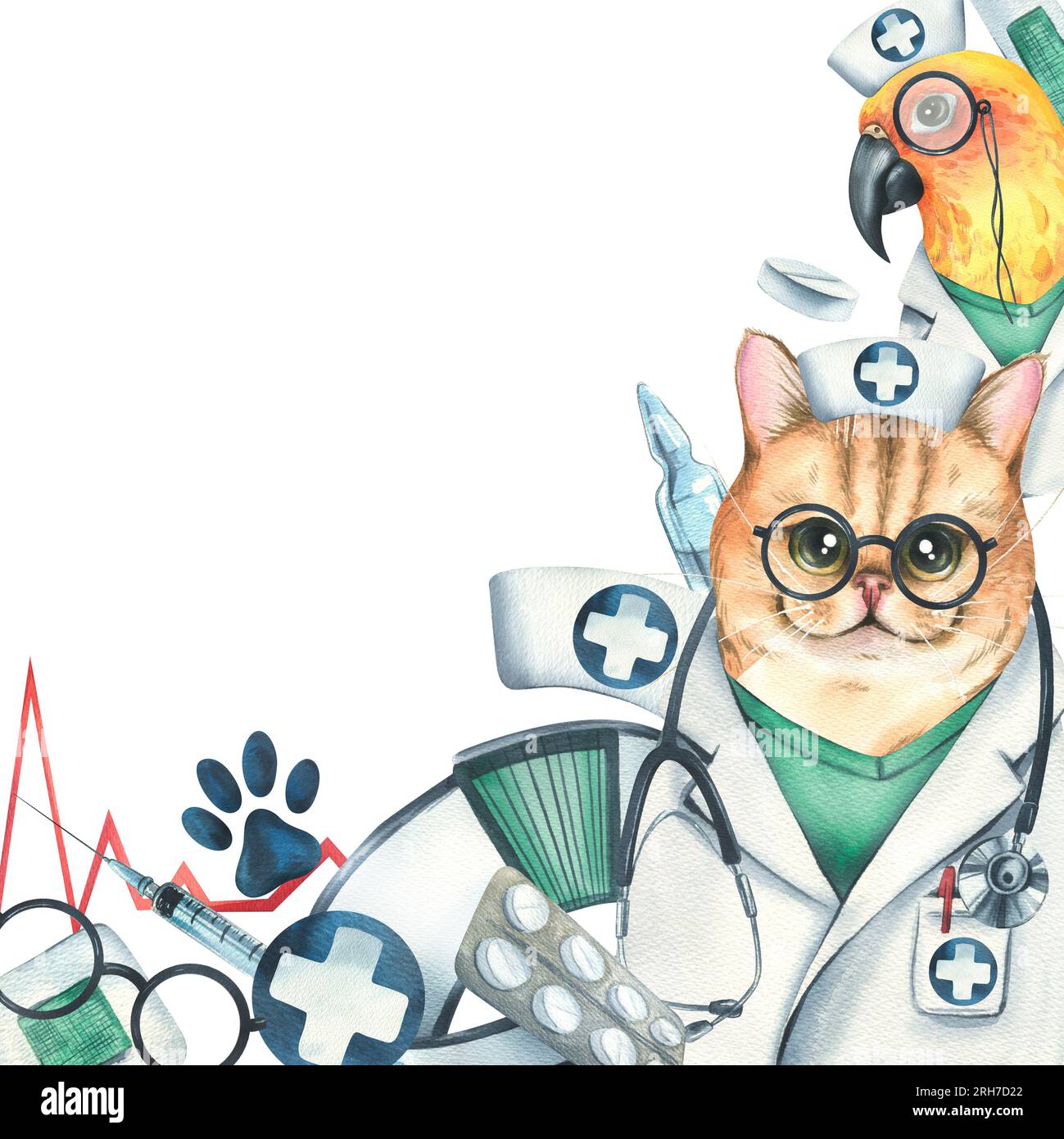 Medici veterinari gatto con pappagallo, strumenti medici, impronte. Illustrazione ad acquerello, disegnata a mano, per la progettazione di cliniche, ospedali Foto Stock