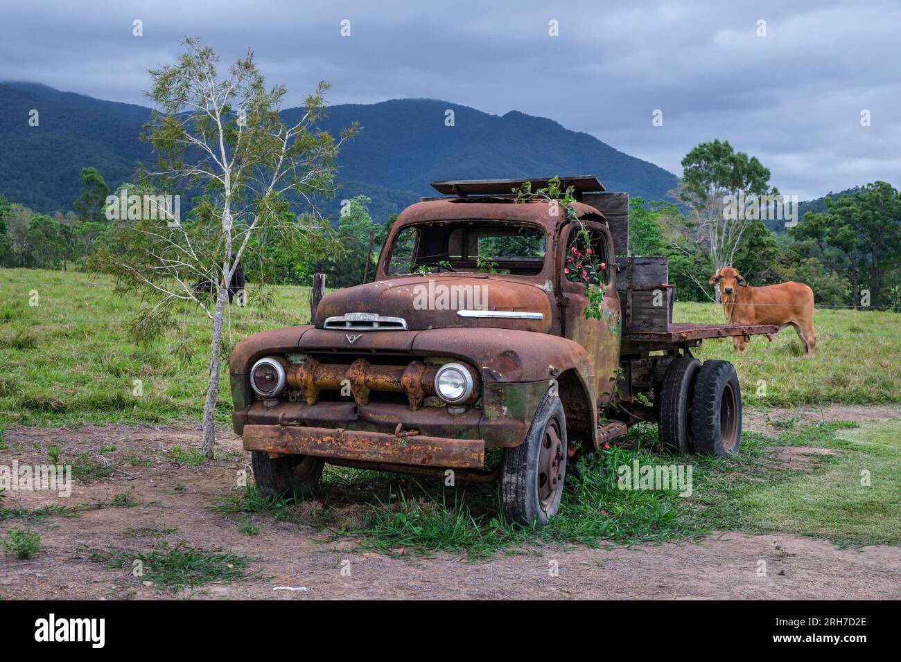 Un camion d'epoca arrugginito in una fattoria vicino a Mount ossa, Queensland, Australia Foto Stock