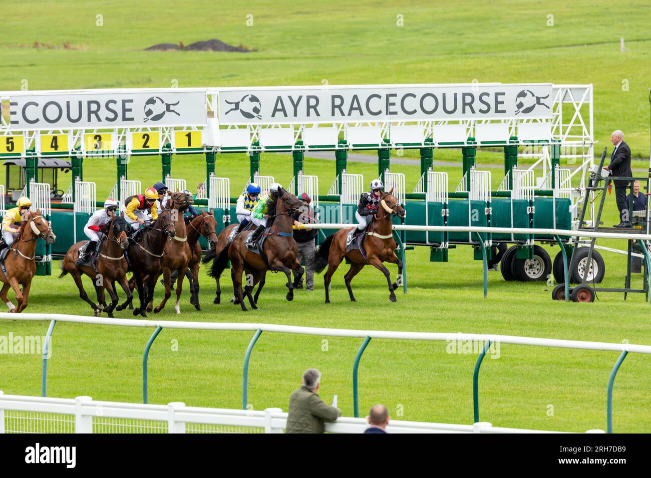 Cavalli che spuntano dalle porte di partenza all'ippodromo di Ayr, in Scozia Foto Stock