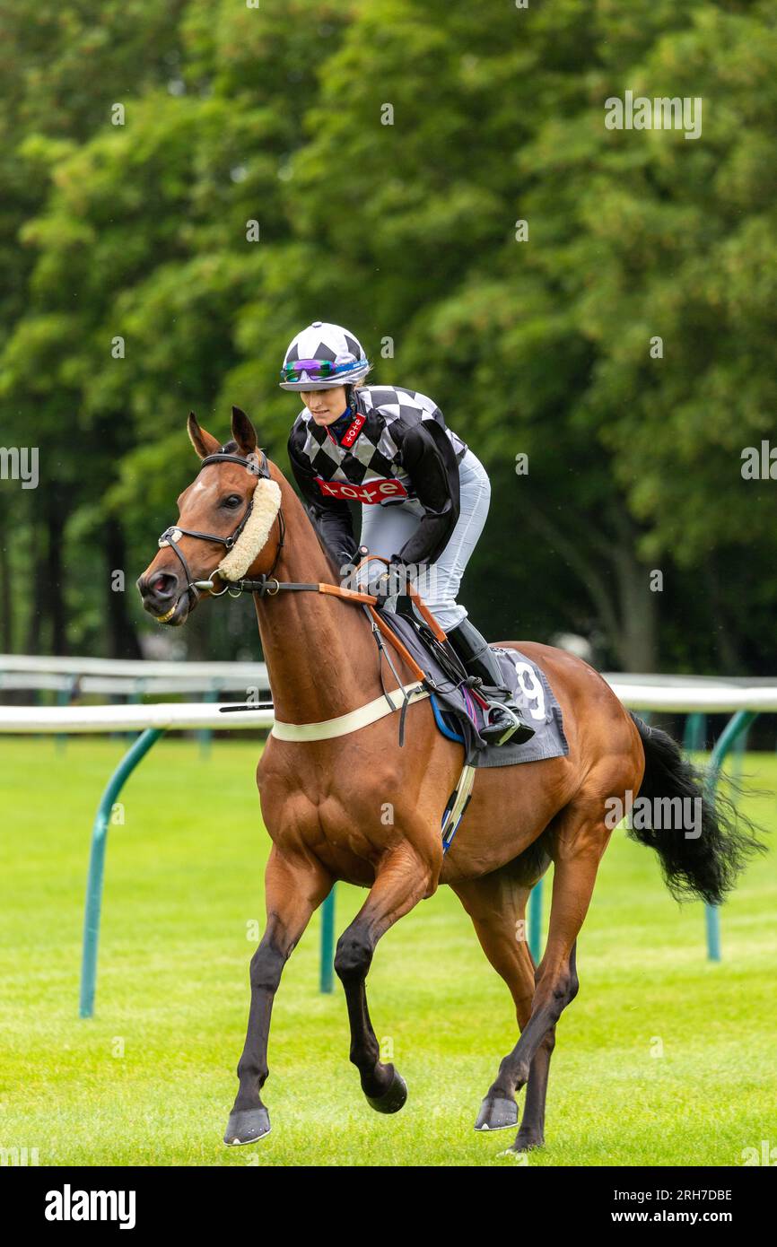 Jocky Erika Parkinson a Ayr Foto Stock