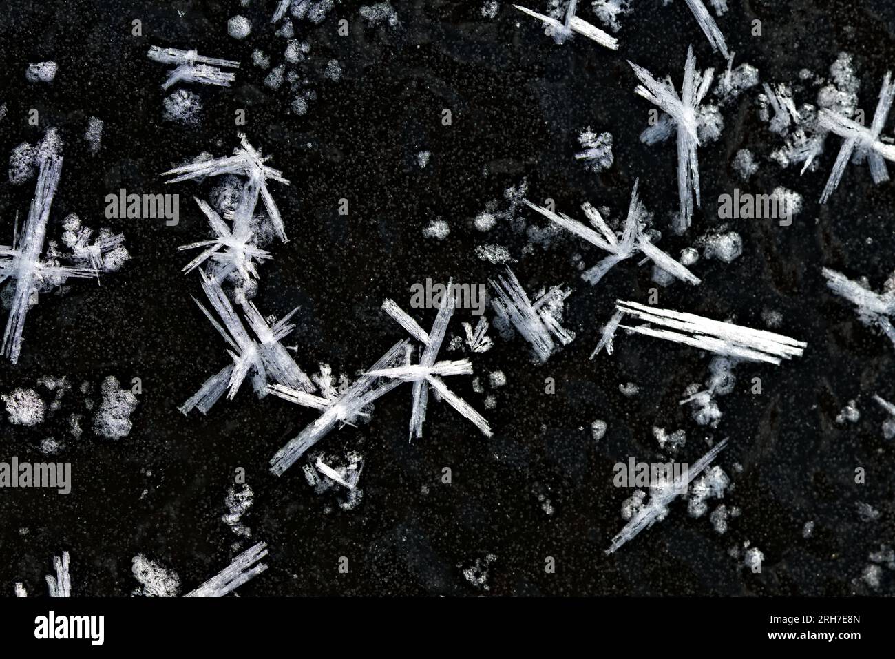 cristalli di ghiaccio e fiocchi di neve nella mattina fredda d'inverno Foto Stock