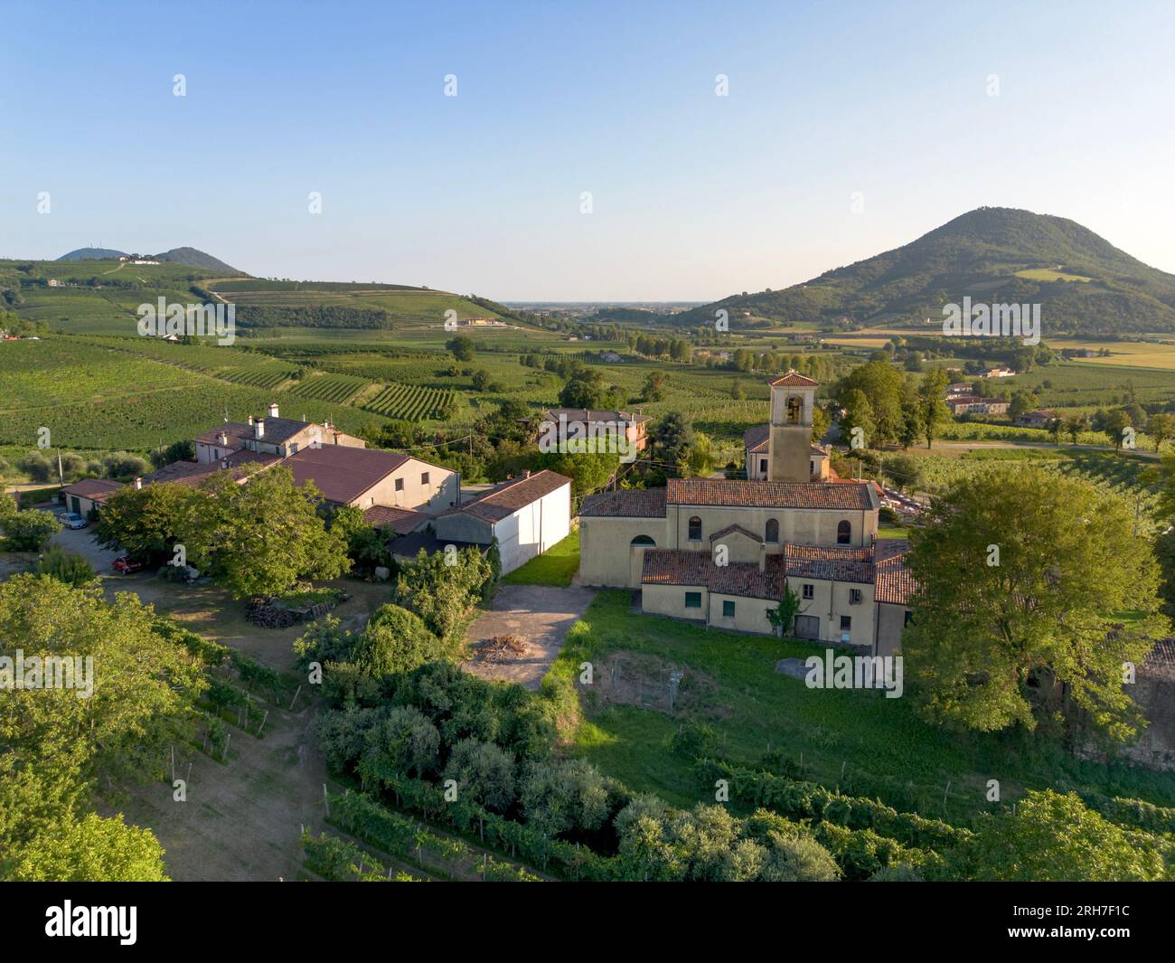 Vecchia chiesa in un piccolo villaggio rurale nella campagna italiana di fronte a un vasto verde vigneto italiano, ondulato paesaggio collinare in estate Foto Stock Vecchia chiesa in un piccolo villaggio rurale nella campagna italiana di fronte a un vasto verde vigneto italiano, ondulato paesaggio collinare in estate Foto Stock