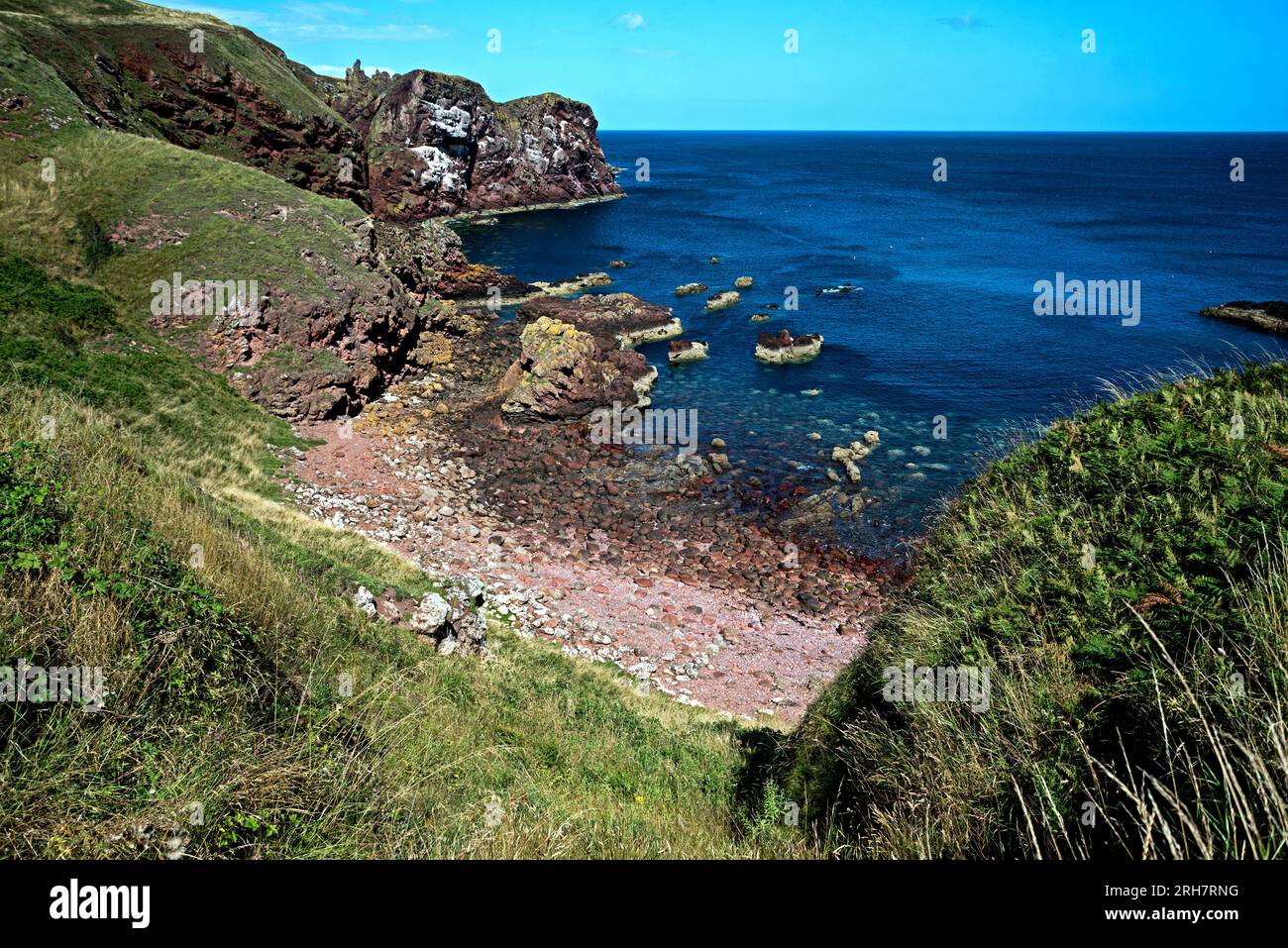 Ammira la Starney Bay fino al promontorio chiamato White Heugh a St Abbs Head, National Nature Reserve, Berwickshire, Scozia, Regno Unito. Foto Stock