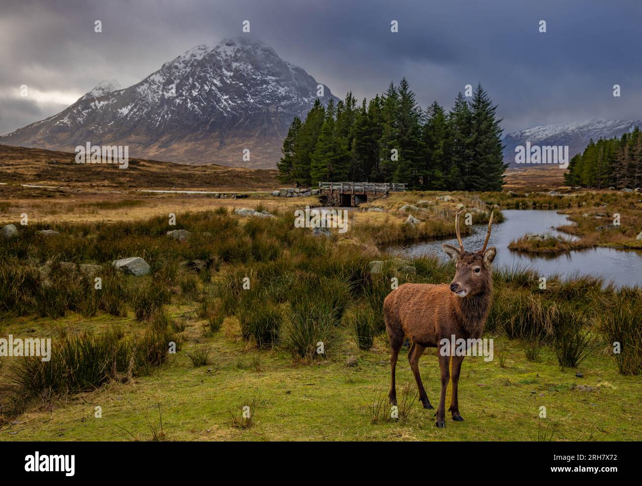 Glencoe Foto Stock