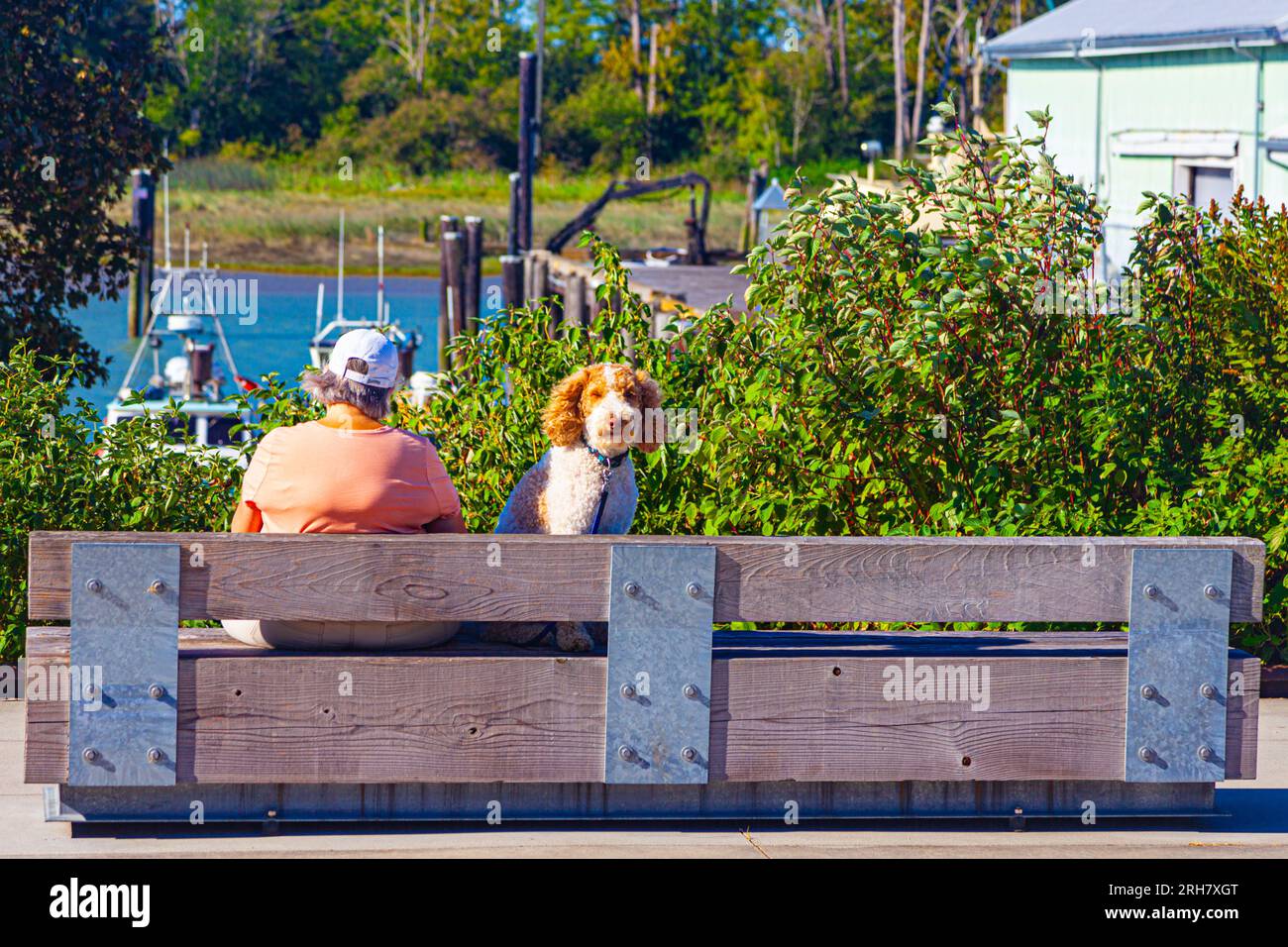 Cane e proprietario che riposa su una panchina di legno a Richmond, British Columbia, Canada Foto Stock