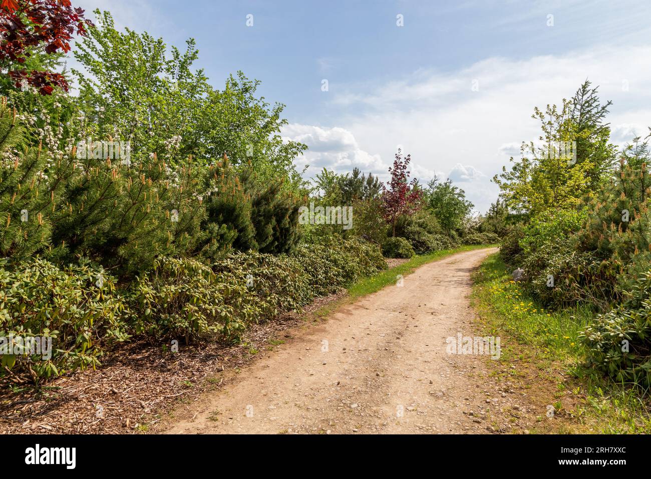 Un percorso nel parco commemorativo Liktendarzs (il Giardino del destino) a Koknese, Lettonia. Foto Stock