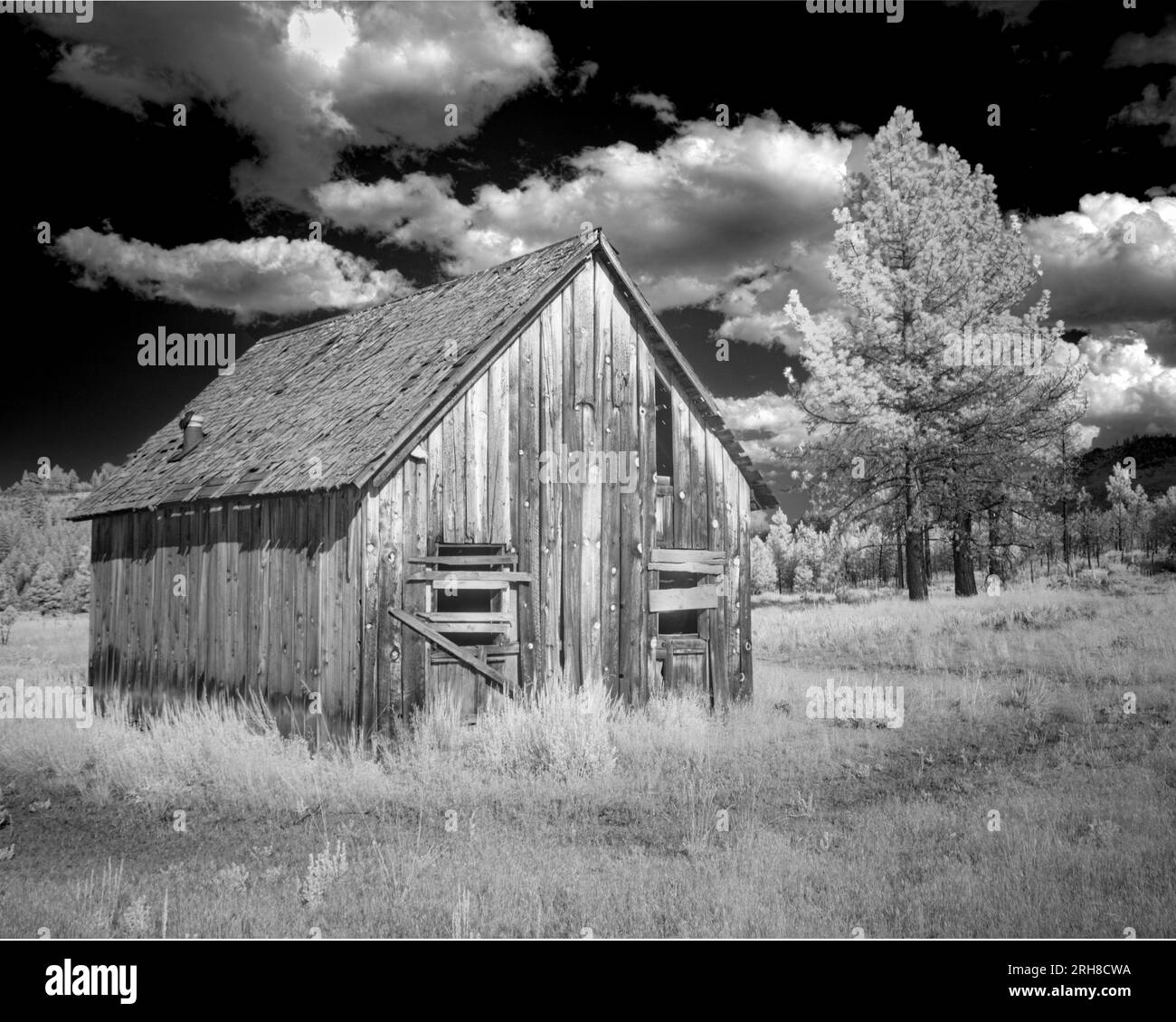 Old Cabin nella contea di Plumas, California, Stati Uniti. Immagine a infrarossi in bianco e nero. Foto Stock