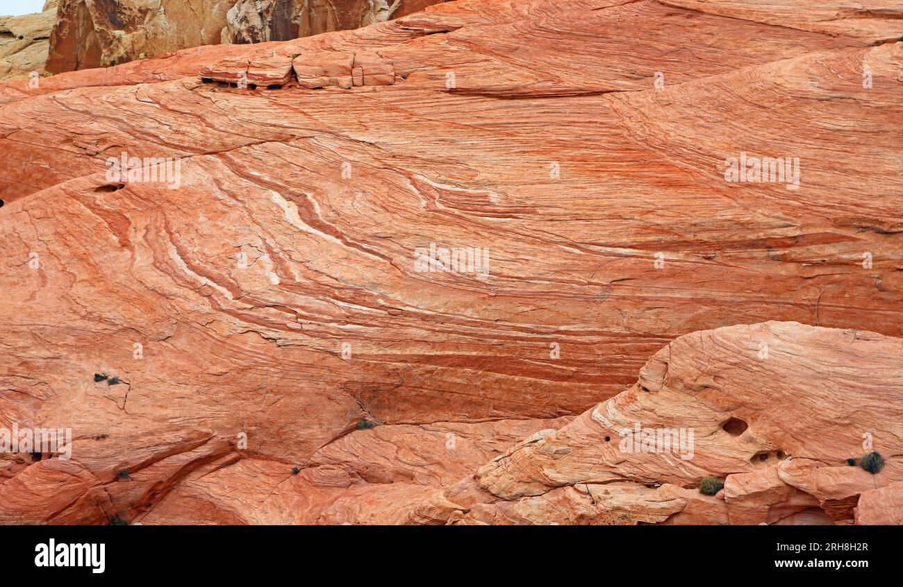 Superficie rossa di roccia - Valley of Fire State Park, Nevada Foto Stock