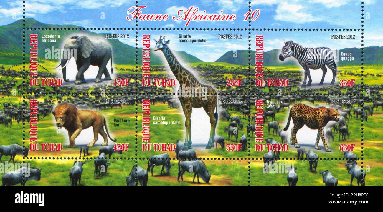 CIAD - CIRCA 2012: Timbro stampato dal Ciad, mostra animali africani, circa 2012 Foto Stock