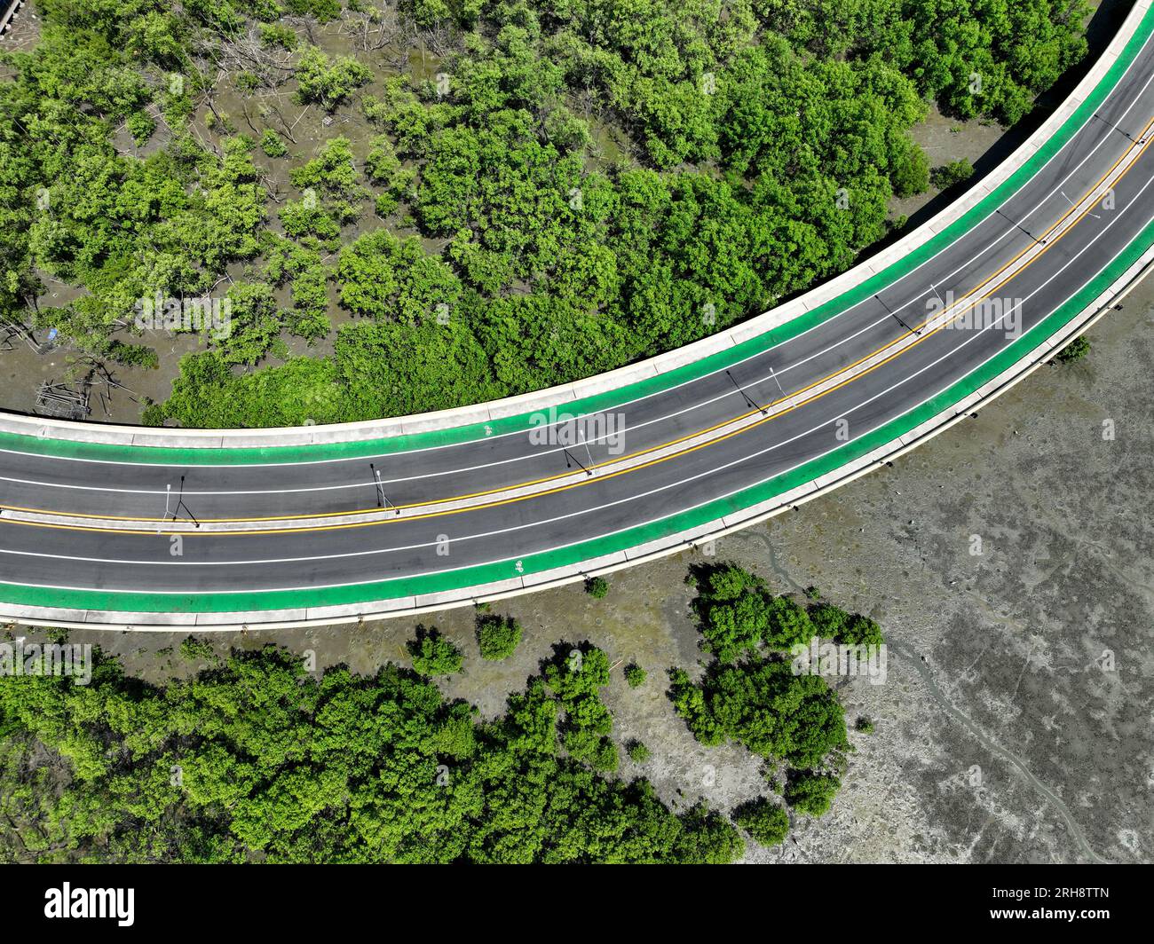 Vista aerea droni curva strada con verde foresta di mangrovie e spiaggia fangosa. Le mangrovie catturano la CO2. Pozzo di carbonio naturale. Ecosistemi di carbonio blu. Foto Stock