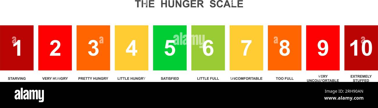 Scala orizzontale della fame. Livelli di pienezza del cibo. Misuratore di bilanciamento ghrelin e leptin isolato su sfondo bianco. Infografica sulla regolazione dell'appetito per la perdita di peso. Illustrazione vettoriale piatta Illustrazione Vettoriale
