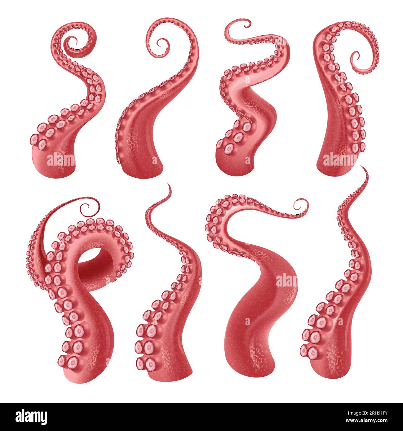 Polpo rosso o tentacoli di kraken con set realistico di ventose isolato su sfondo bianco illustrazione vettoriale Illustrazione Vettoriale