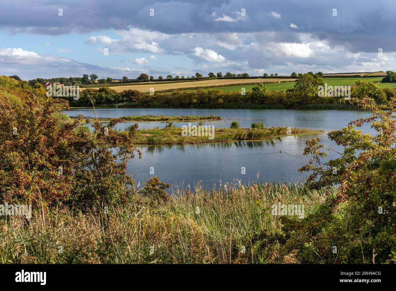 Riserva naturale di far Ings; lago Target; Lincolnshire; Regno Unito Foto Stock