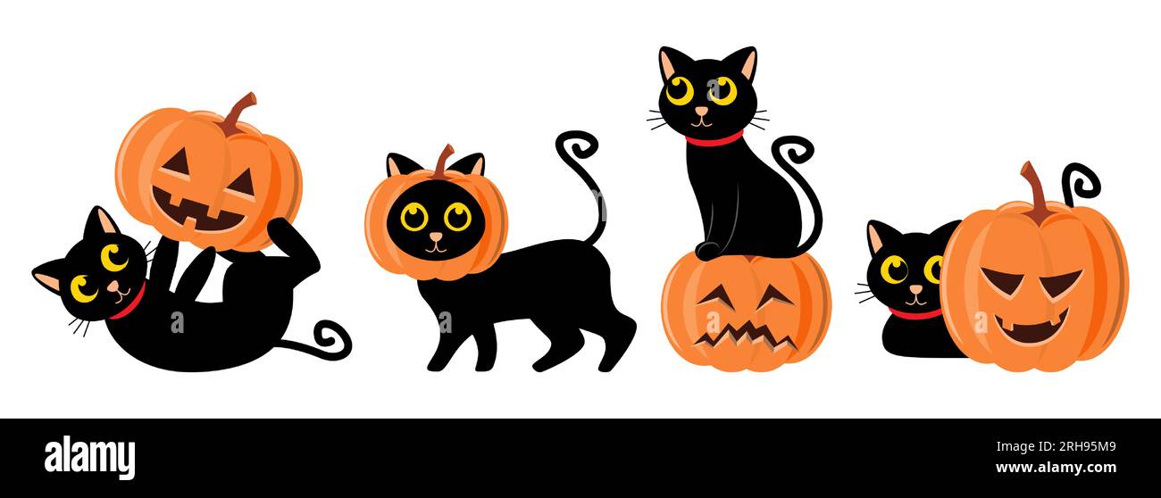 Set di grazioso gatto nero e zucca intagliata . Concetto di Halloween. Vettore . Illustrazione Vettoriale