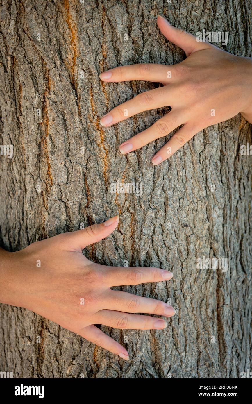 Amante della natura abbraccia il tronco con corteccia ruvida, concetto di persone che amano la natura e proteggono dalla deforestazione o dall'inquinamento . Foto Stock