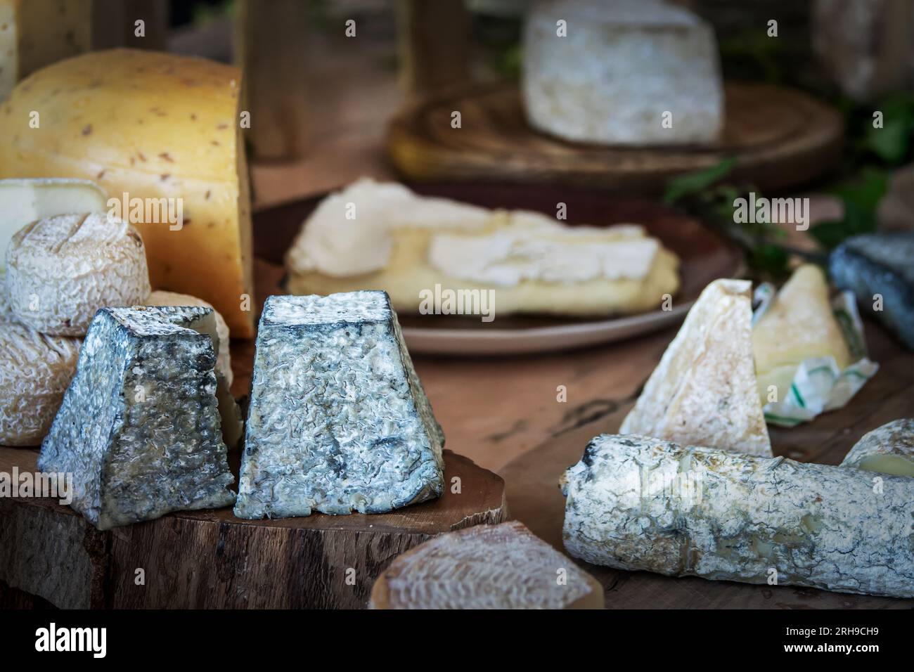 Ampia scelta di formaggi francesi maturati su un pannello rustico di legno Foto Stock