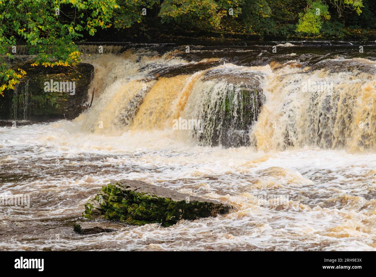 Cascate Aysgarth sul fiume Ure a Wensleydale nello Yorkshire Dales National Park. Aysgarth, North Yorkshire, Inghilterra, Regno Unito, Gran Bretagna, Europa Foto Stock