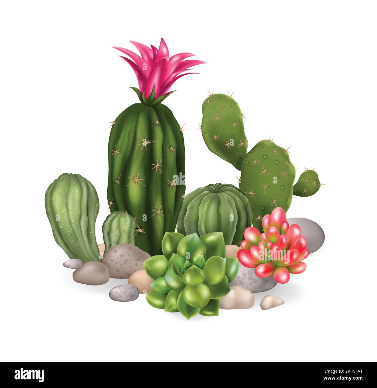 Composizione realistica del cactus con vista isolata della fioritura di cactus con varie specie di piante su sfondo vuoto illustrazione vettoriale Illustrazione Vettoriale