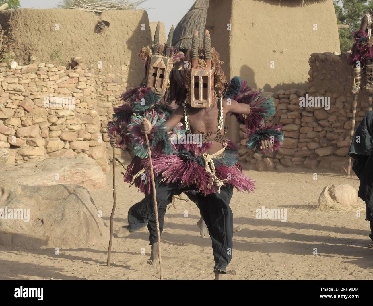 Danza tradizionale dei cani. Gli africani mascherati ballano una danza tradizionale in una tribù, Tirelli, Dogon Country, Mali. danza con maschera Foto Stock