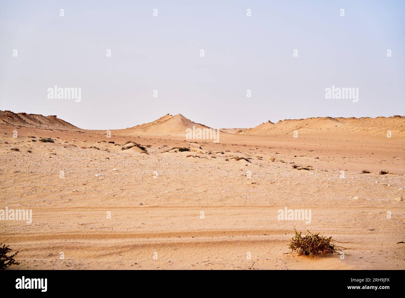 Una vista di alcuni paesaggi desertici con formazioni rocciose, sabbia e colline. Foto Stock