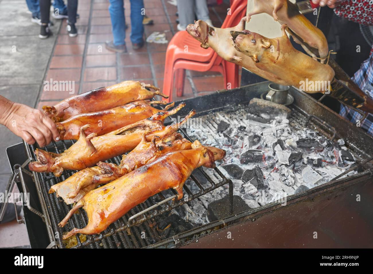Foto ravvicinata di porcellini d'India arrostiti (cuy) su una griglia nella città di Banos, messa a fuoco selettiva, Ecuador. Foto Stock
