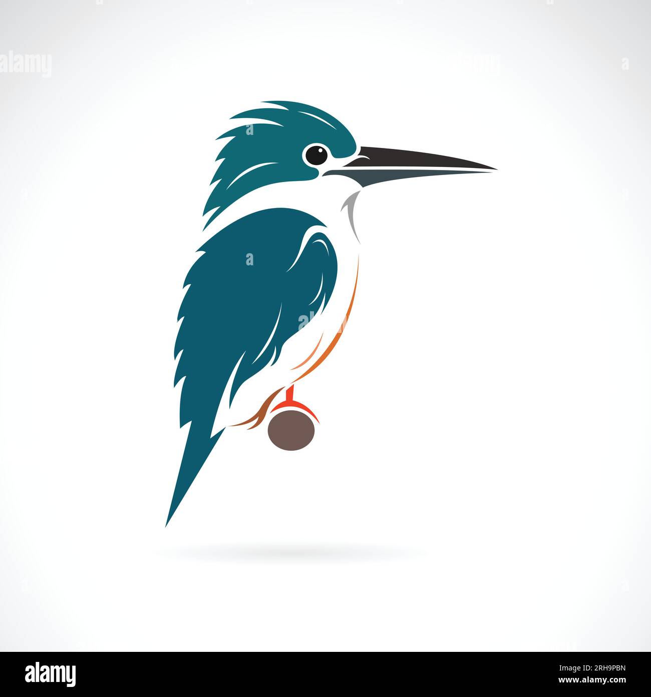 Progetto Vector of kingfisher su sfondo bianco. Uccello. Animali selvatici. Illustrazione vettoriale stratificabile facilmente modificabile. Illustrazione Vettoriale