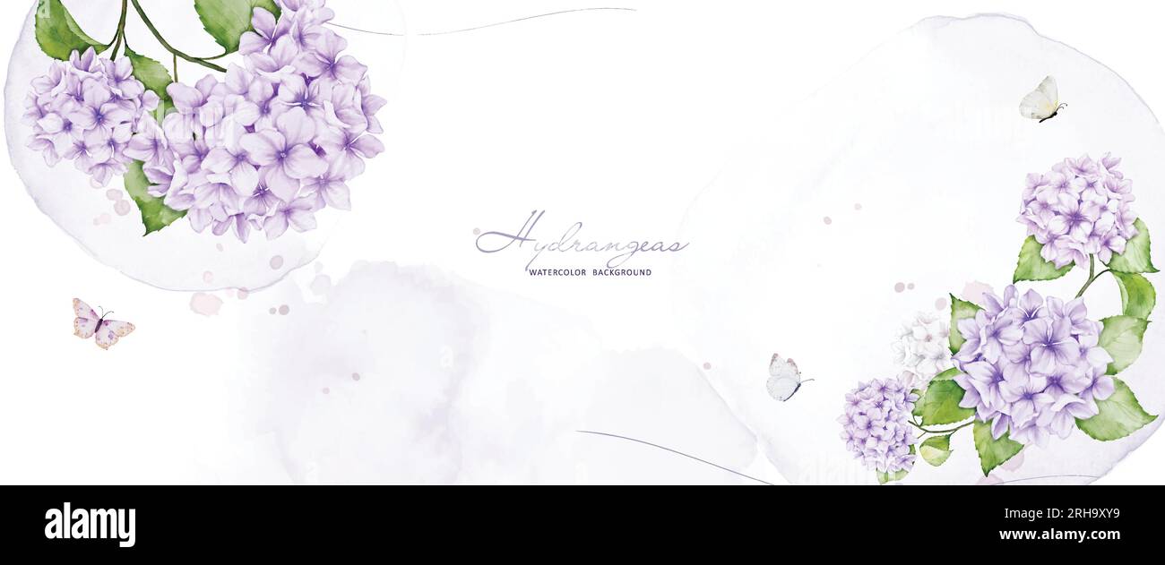 Arte acquerello con fiori di ortensia viola, decorata con farfalle e macchie per sfondo orizzontale. Sfondo vettoriale perfetto per banner, Illustrazione Vettoriale