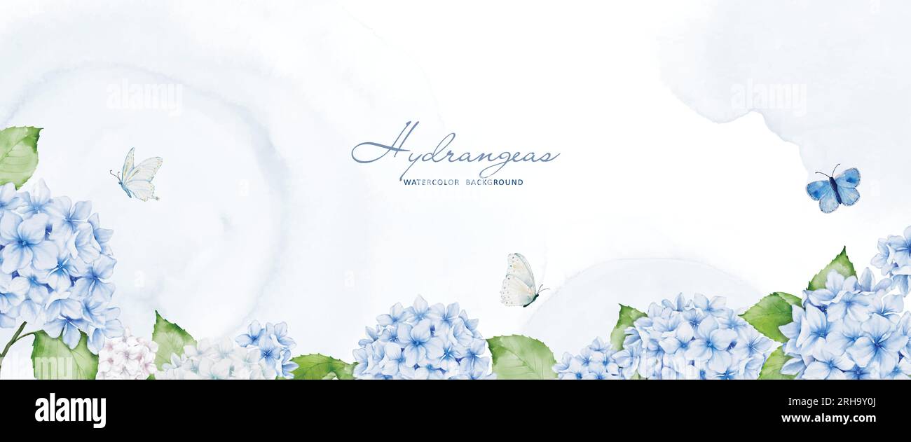 Arte acquerello con fiori di ortensia blu, decorata con farfalle e macchie per sfondo orizzontale. Sfondo vettoriale perfetto per banner, lui Illustrazione Vettoriale