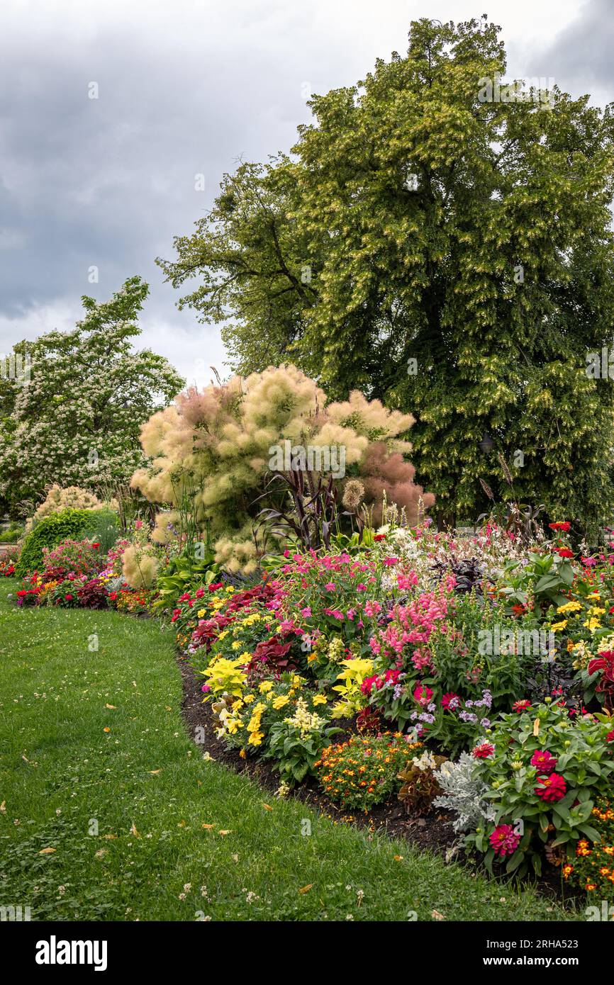 Splendidi fiori in molti colori, come giallo, rosso, rosa, arancione e viola, nel parco cittadino della città di Epinal nei Vosgi francesi Foto Stock