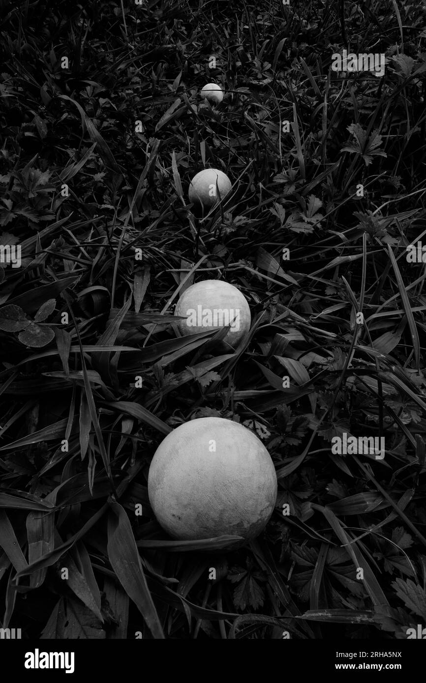 Sfere bianche in prospettiva sulla vegetazione Foto Stock