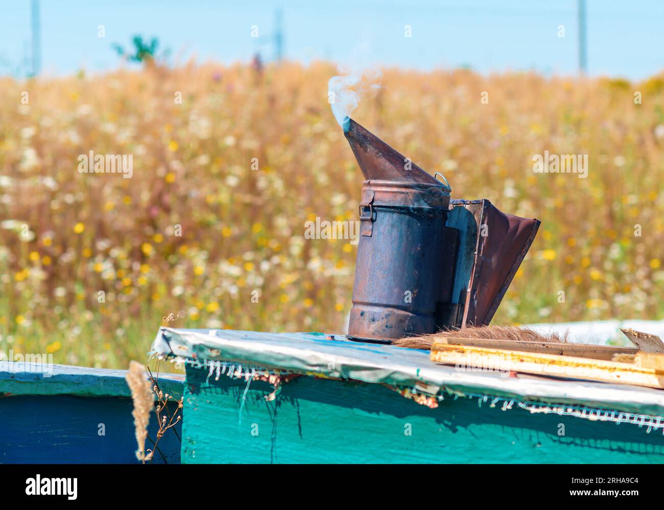 Camino dell'apicoltore sul vecchio alveare del villaggio Foto Stock