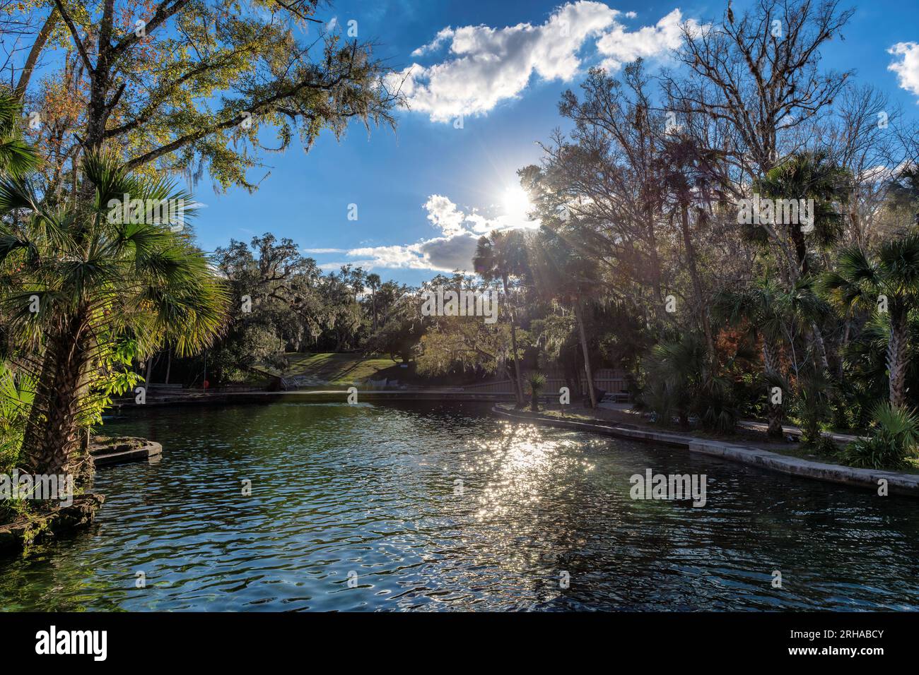 Splendido Wekiwa Springs State Park, lago e foresta tropicale al tramonto a Orlando, Florida. Foto Stock