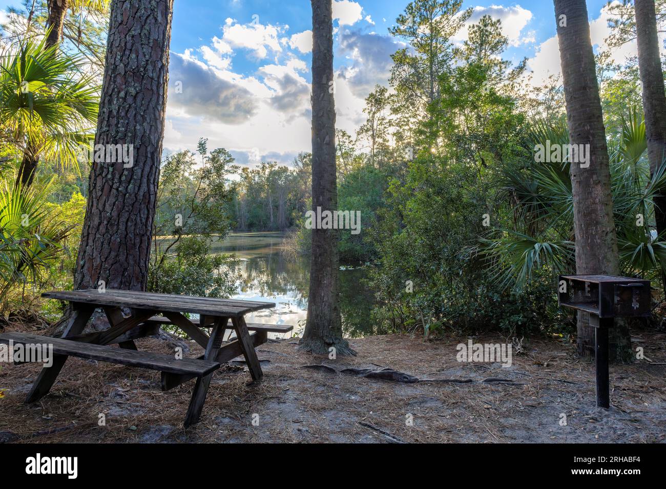 Tavoli e panchine nell'area picnic vicino al bellissimo lago circondato da alberi al tramonto Foto Stock