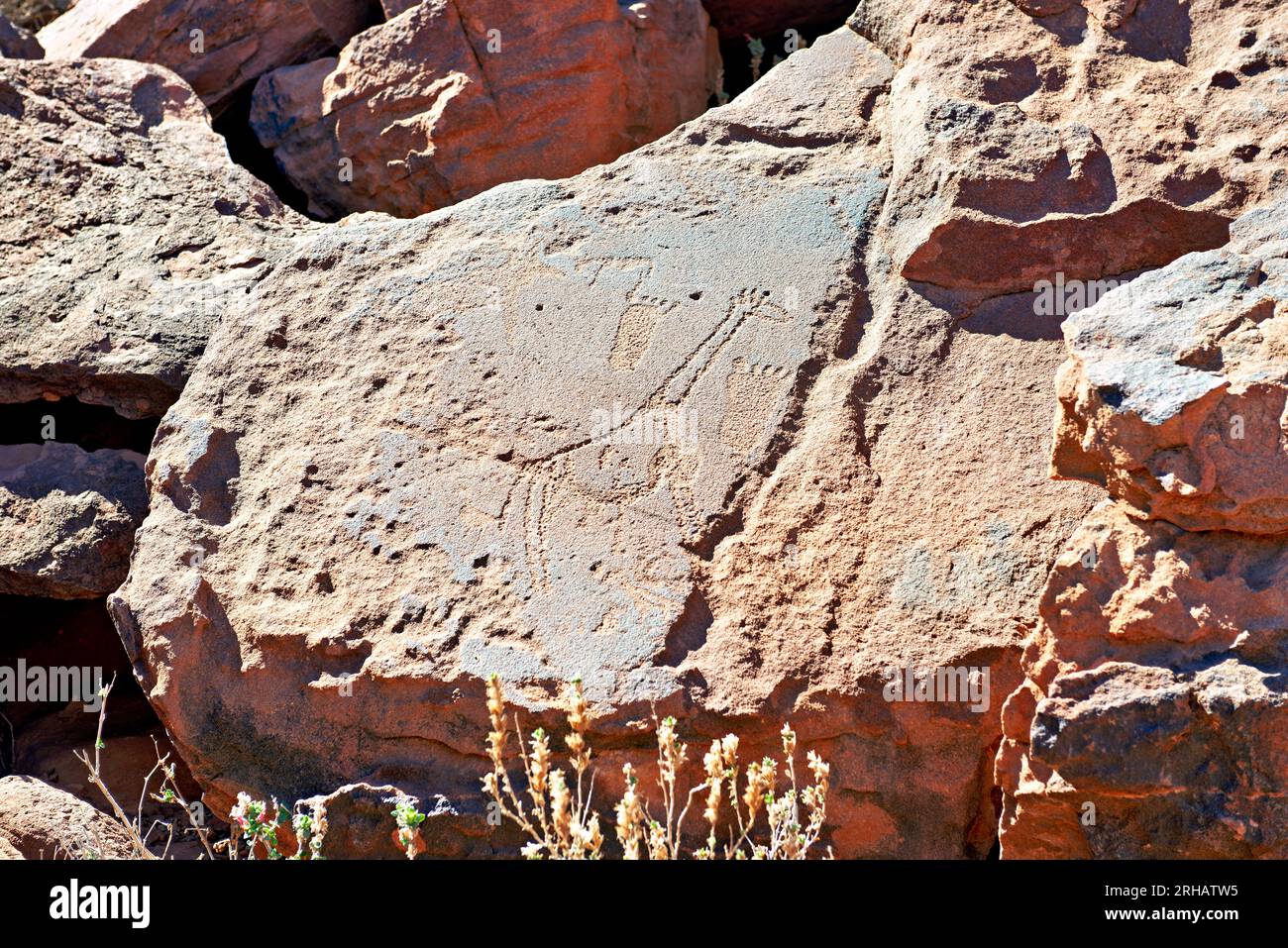 Namibia. Incisioni rupestri preistoriche nel sito archeologico di Twyfelfontein, regione di Kunene Foto Stock