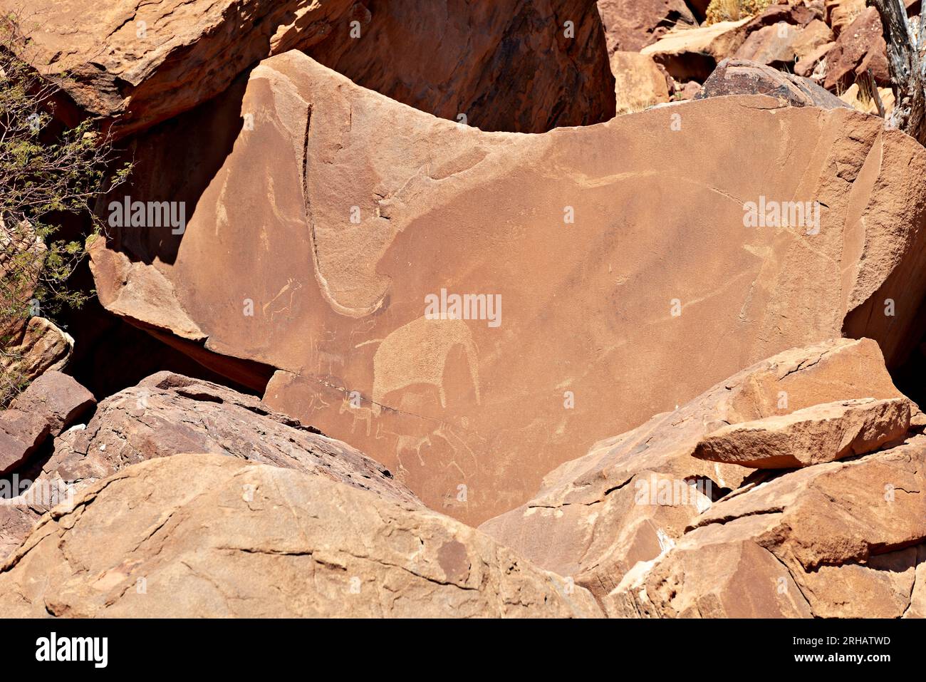 Namibia. Incisione rupestre preistorica nel sito archeologico di Twyfelfontein, regione di Kunene Foto Stock